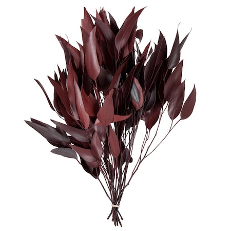 Dare2Decor 18-20 x 8 in. Eucalyptus Willow Red Bunch, 5-6 oz DA2070997